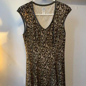 BRAND NEW Cache Leather & Lace Fit N Flare Cocktail Dress Size 6
